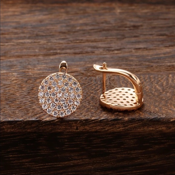 Rose Gold Full Micro Pave Round Earrings - Picture 3 of 9